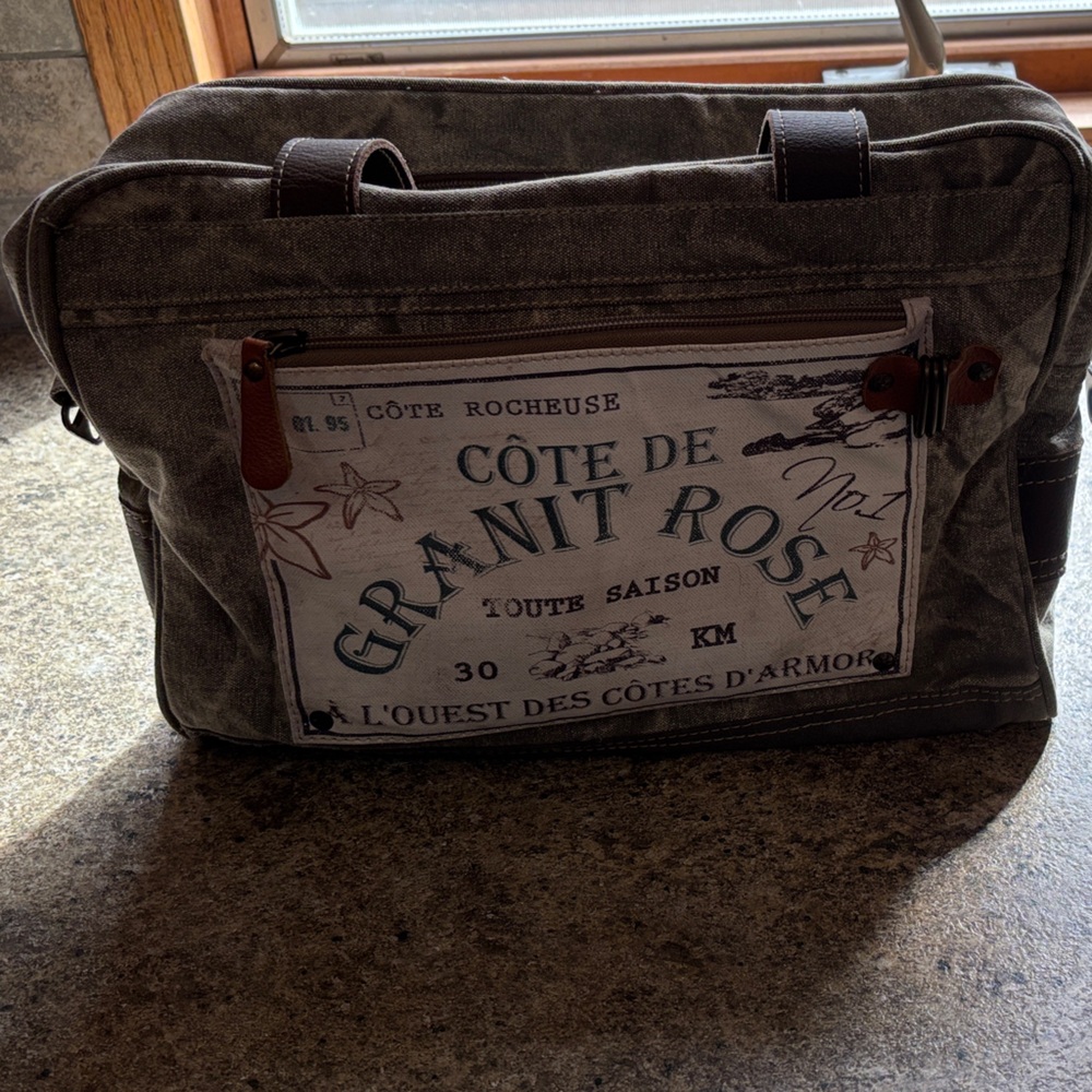 Myra Bag Gray Canvas Messenger with Front Graphic Pocket